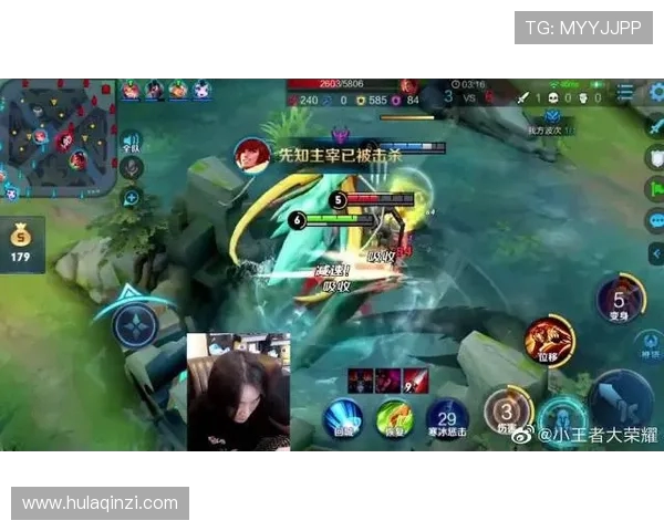 王者荣耀BLG战队的快速崛起与战术解析探讨