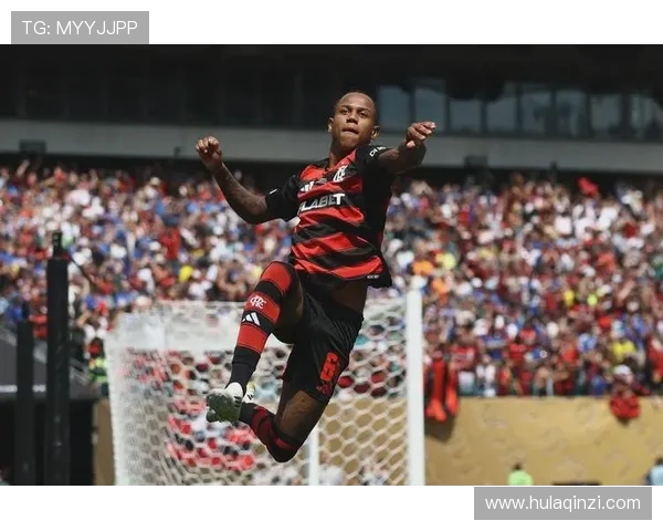 博塔弗戈与弗拉门戈激情对决谁将赢得这场巴西足球盛宴